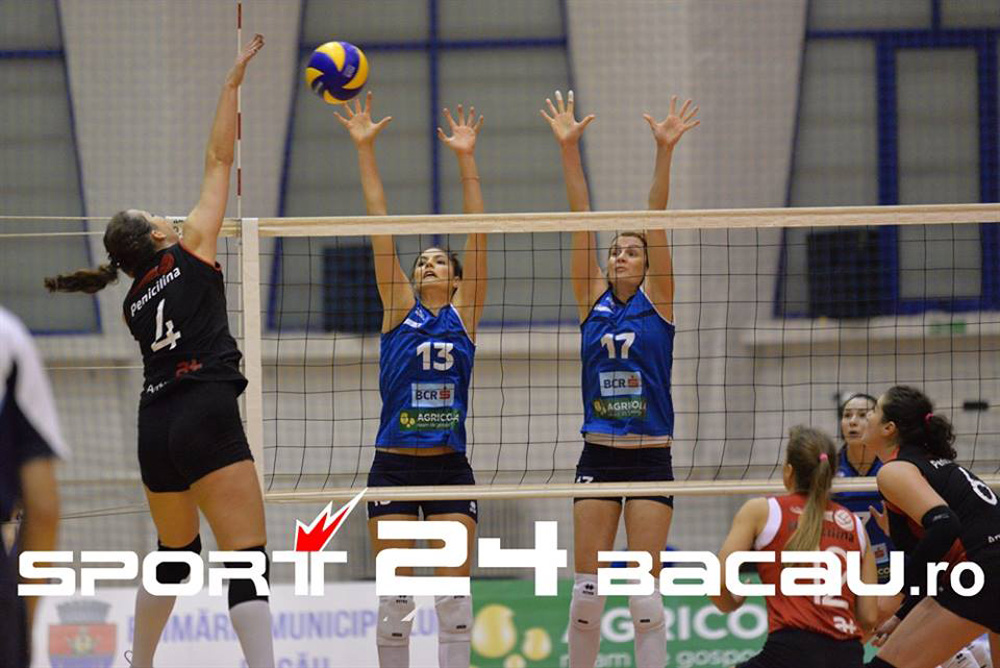volei cev