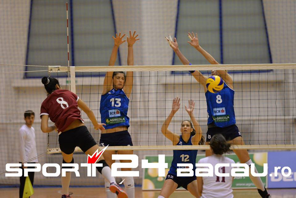 volei dinamo